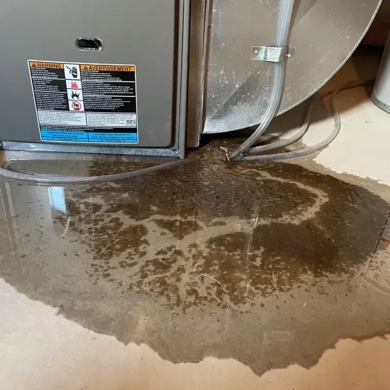 Appliance Leak Cleanup in Baker County, FL